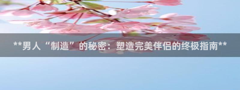 彩神是正规平台吗：**男人“制造”的秘密：塑造完美伴侣的终极指南**