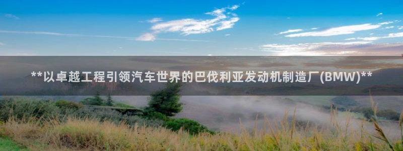 彩神v8官网版：**以卓越工程引领汽车世界的巴伐利亚发动机制造厂(BMW)**