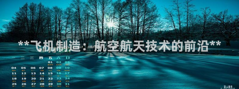 彩神旗下有哪些平台可以看：**飞机制造：航空航天技术的前沿**