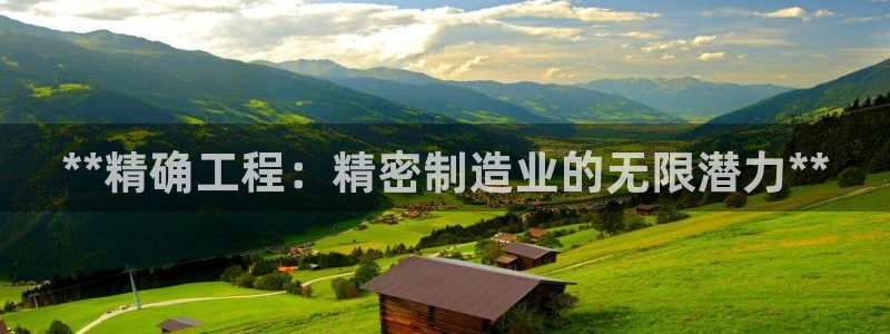 彩神app能挣到钱吗：**精确工程：精密制造业的无限潜力**