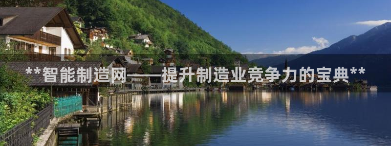 彩神v8官网版：**智能制造网——提升制造业竞争力的宝典**