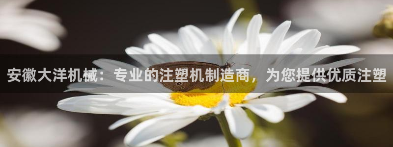 彩神争霸官方登录：安徽大洋机械：专业的注塑机制造商，为您提供优质注塑