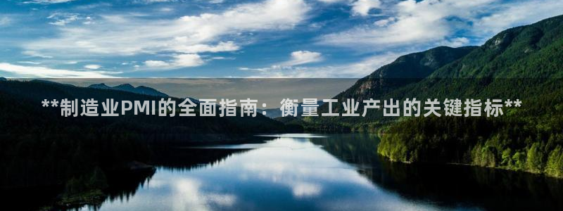 在彩神网输了六万多怎么拿回来：**制造业PMI的全面指南：衡