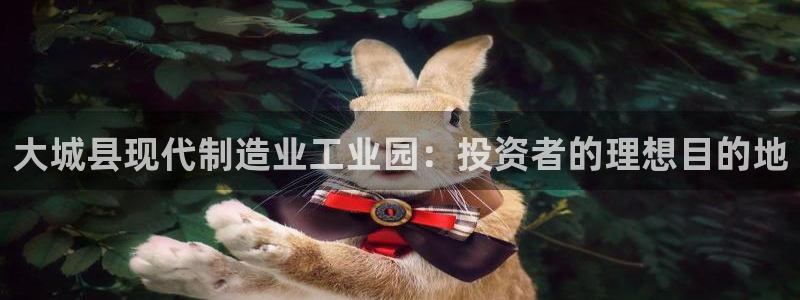 彩神vll首页企业文化：大城县现代制造业工业园：投资者的理想目的地