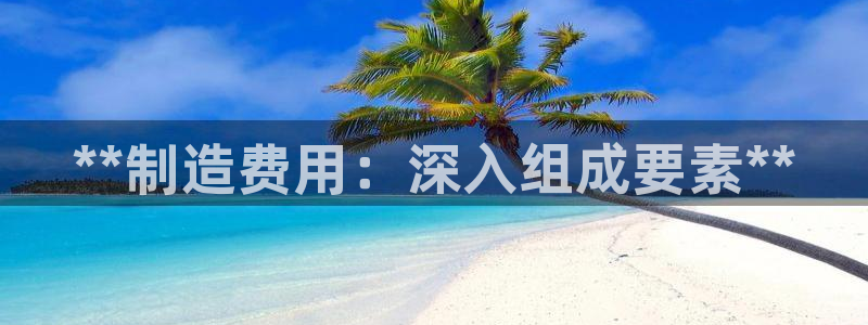 彩神x平台靠什么盈利：**制造费用：深入组成要素**