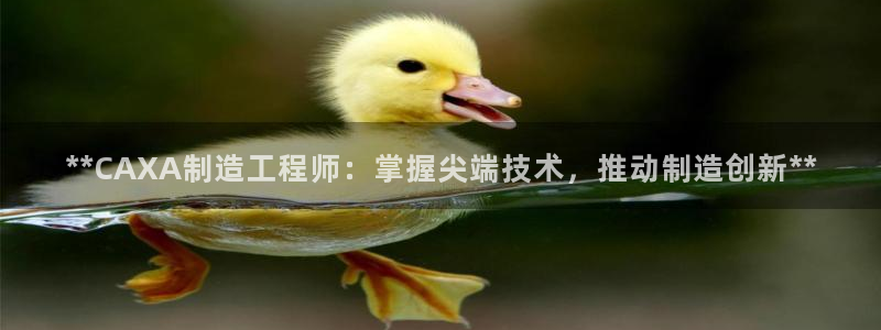彩神赢的钱是哪里来的：**CAXA制造工程师：掌握尖端技术，推动制造创新**