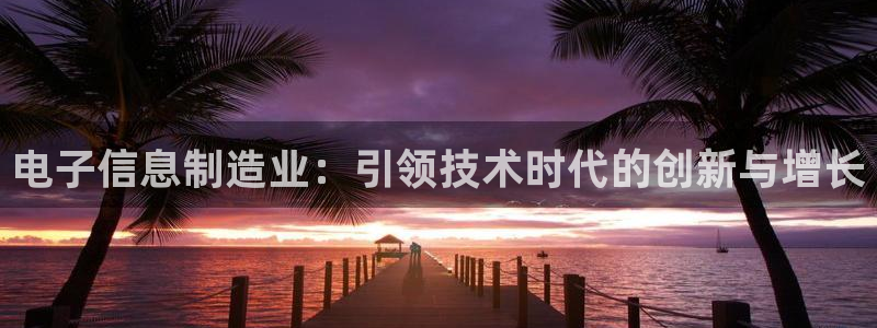 彩神购彩-购彩大厅入口：电子信息制造业：引领技术时代的创新与增长