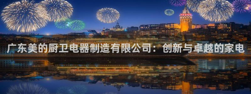 彩神vip购彩：广东美的厨卫电器制造有限公司：创新与卓越的家电