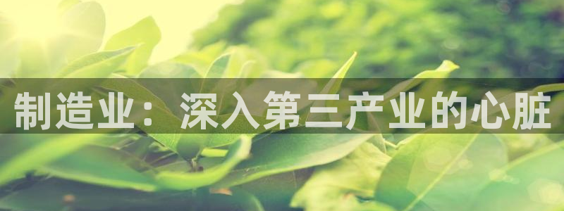 彩神vll官网-最新版app下载：制造业：深入第三产业的心脏