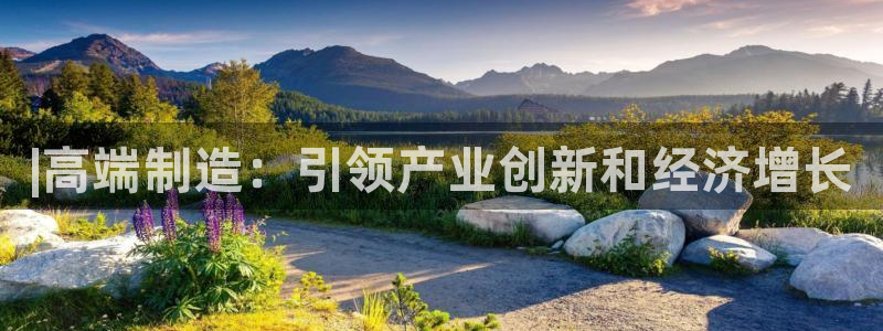 彩神v8下载app：|高端制造：引领产业创新和经济增长