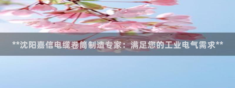 彩神通官方网：**沈阳嘉信电缆卷筒制造专家：满足您的工业电气需求**