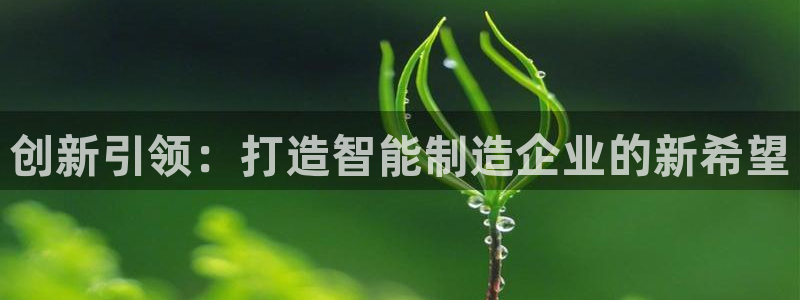 彩神大发是不是人为操作：创新引领：打造智能制造企业的新希望