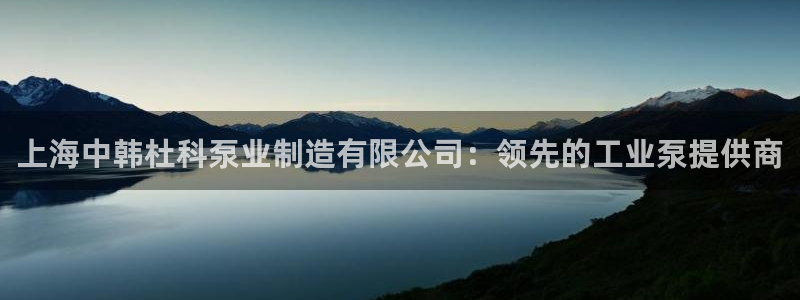 彩神v8手机客户端：上海中韩杜科泵业制造有限公司：领先的工业泵提供商