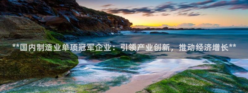 彩神v8几个版本：**国内制造业单项冠军企业：引领产业创新，推动经济增长**