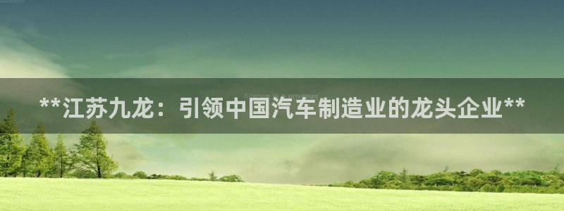 彩神viii是正规平台吗?：**江苏九龙：引领中国汽车制造业的龙头企业**