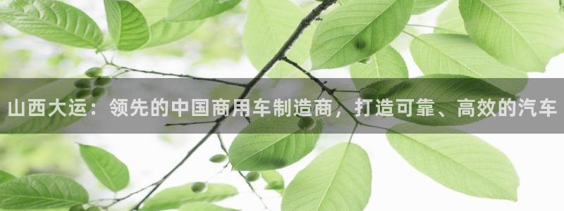 彩神vip官方网站：山西大运：领先的中国商用车制造商，打造可靠、高效的汽车