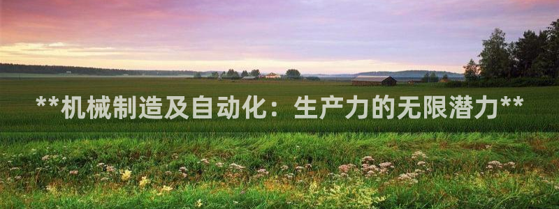彩神ix官网是哪个公司的：**机械制造及自动化：生产力的无限