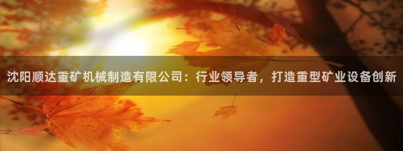 彩神V3大赢家：沈阳顺达重矿机械制造有限公司：行业领导者，打