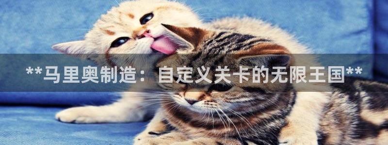 彩神vip官方网站：**马里奥制造：自定义关卡的无限王国**