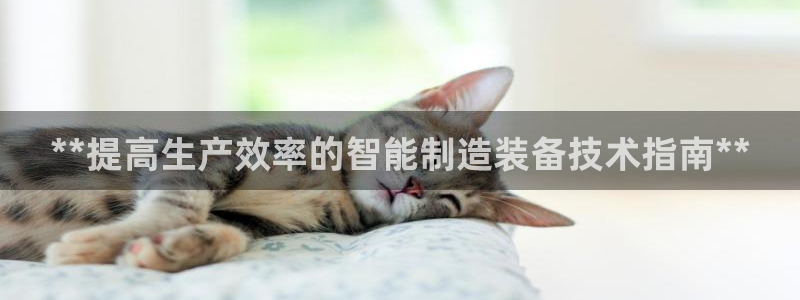 彩神vll官网-最新版app下载：**提高生产效率的智能制造