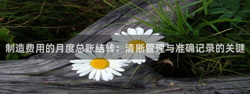 彩神盈利图片：制造费用的月度总账结转：清晰管理与准确记录的关键