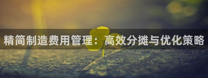 彩神购彩-购彩大厅入口500：精简制造费用管理：高效分摊与优化策略