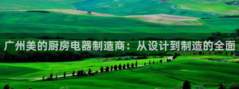彩神团队是真的吗：广州美的厨房电器制造商：从设计到制造的全面