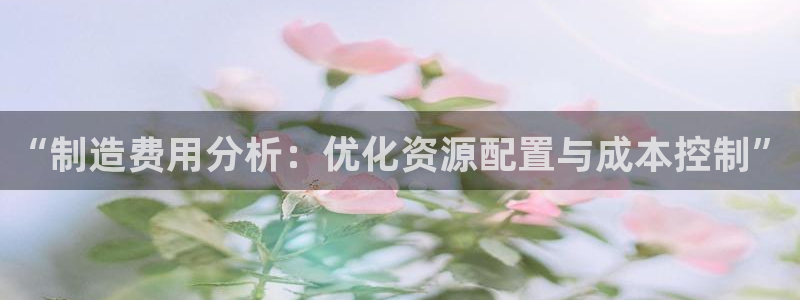 彩神v大众娱乐：“制造费用分析：优化资源配置与成本控制”