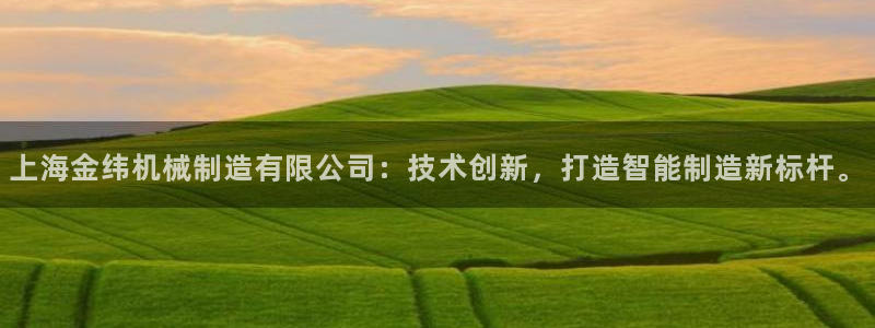 彩神vl购彩大厅：上海金纬机械制造有限公司：技术创新，打造智能制造新标杆。