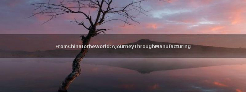 彩神v违法么：FromChinatotheWorld:AJourneyThroughManufacturing