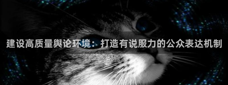 彩神购彩-购彩大厅入口计划群：建设高质量舆论环境：打造有说服力的公众表达机制