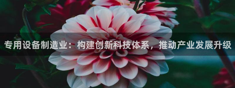 彩神是真的吗：专用设备制造业：构建创新科技体系，推动产业发展升级