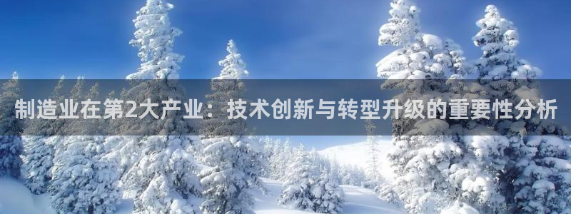 彩神Vii购彩-购彩大厅：制造业在第2大产业：技术创新与转型升级的重要性分析
