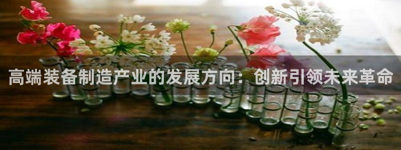 彩神v8平台正规吗：高端装备制造产业的发展方向：创新引领未来革命