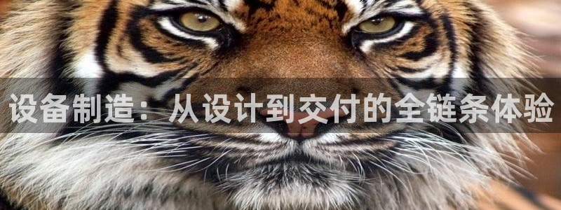 新版彩神v8登录不上去：设备制造：从设计到交付的全链条体验