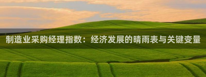 彩神vi争霸官网：制造业采购经理指数：经济发展的晴雨表与关键变量