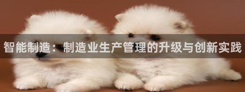 彩神是真的吗：智能制造：制造业生产管理的升级与创新实践