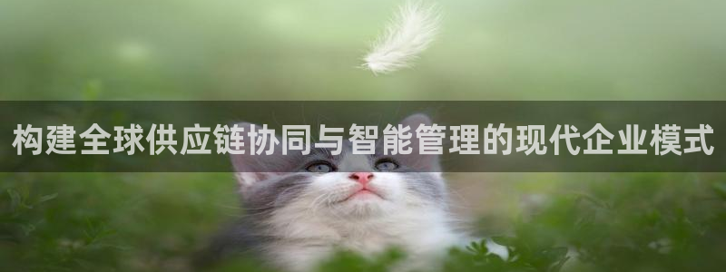 彩神客服电话：构建全球供应链协同与智能管理的现代企业模式