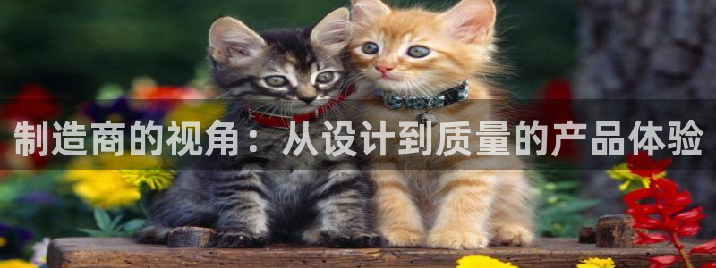 下载彩神乐发V：制造商的视角：从设计到质量的产品体验