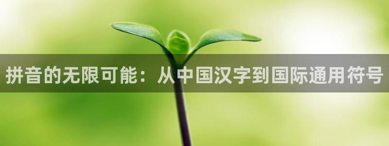 彩神购彩-购彩大厅入口：拼音的无限可能：从中国汉字到国际通用符号