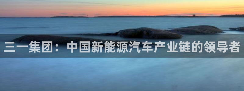 彩神是正规平台吗是真的吗：三一集团：中国新能源汽车产业链的领导者