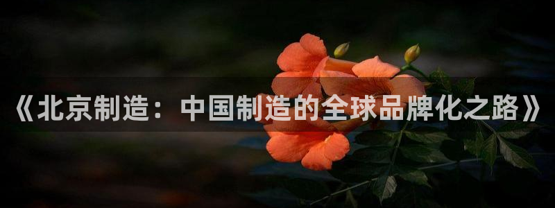彩神新微聊：《北京制造：中国制造的全球品牌化之路》