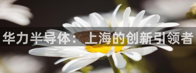 彩神V8有限公司：华力半导体：上海的创新引领者