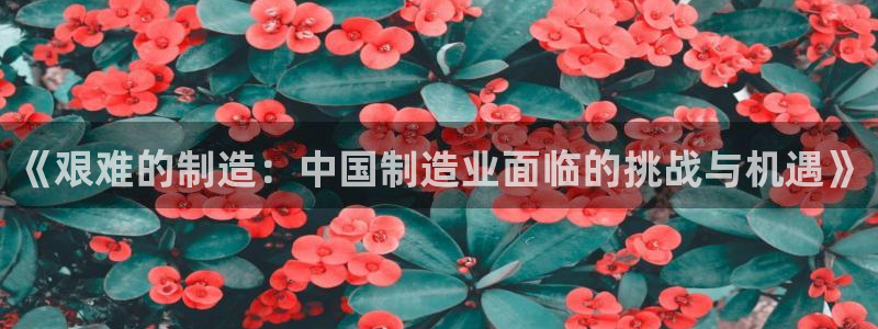 彩神官方登录：《艰难的制造：中国制造业面临的挑战与机遇》