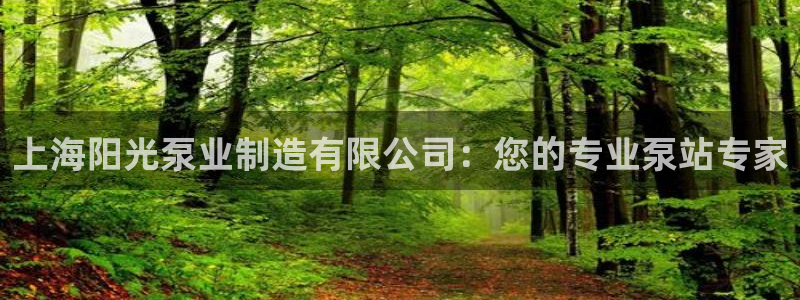 彩神v8首页：上海阳光泵业制造有限公司：您的专业泵站专家