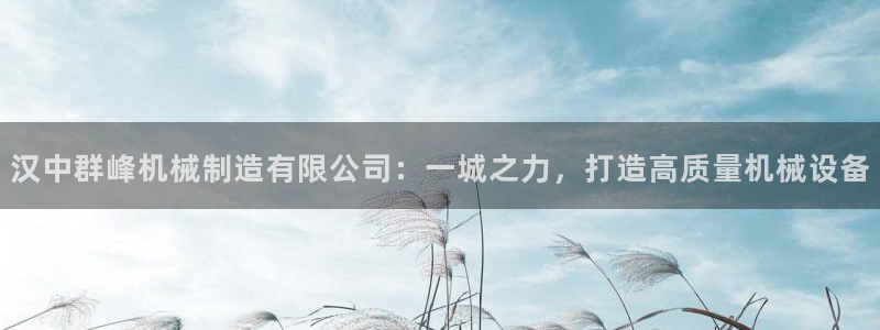 彩神vl官网：汉中群峰机械制造有限公司：一城之力，打造高质量