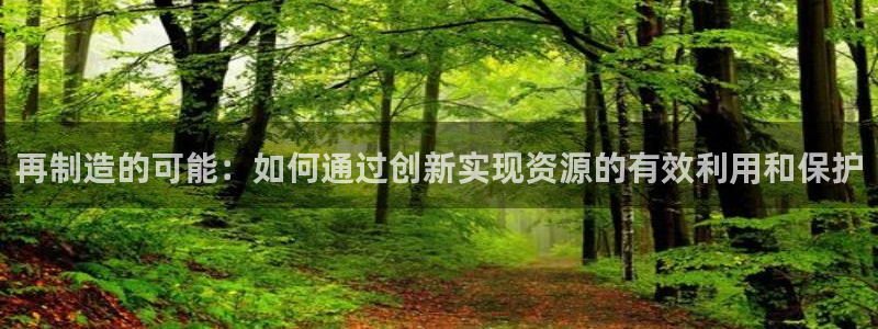 大发彩神争：再制造的可能：如何通过创新实现资源的有效利用和保护