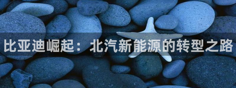 天天赢彩神：比亚迪崛起：北汽新能源的转型之路