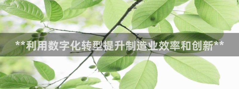 彩神vⅲ下载安装：**利用数字化转型提升制造业效率和创新**