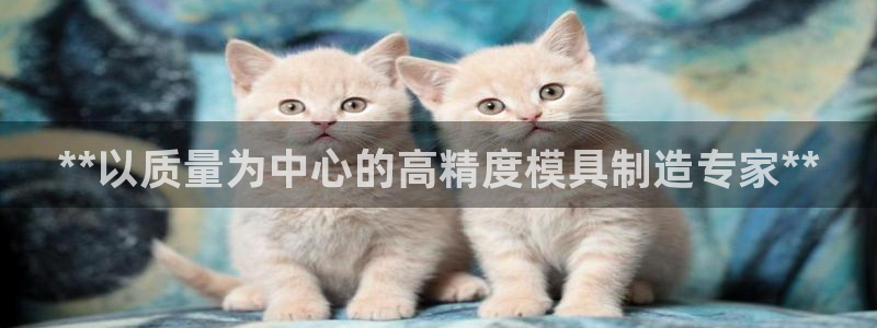 彩神8彩平台官网：**以质量为中心的高精度模具制造专家**